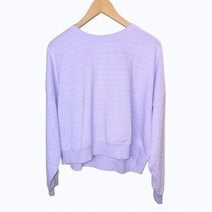 Aerie Light Purple Knit Top